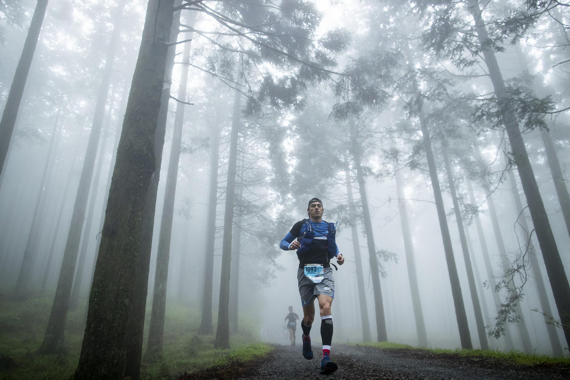 Blazing a trail in Japan's mountains - The Japan Times